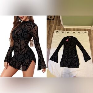 Black Sheer Bodycon Mini Dress